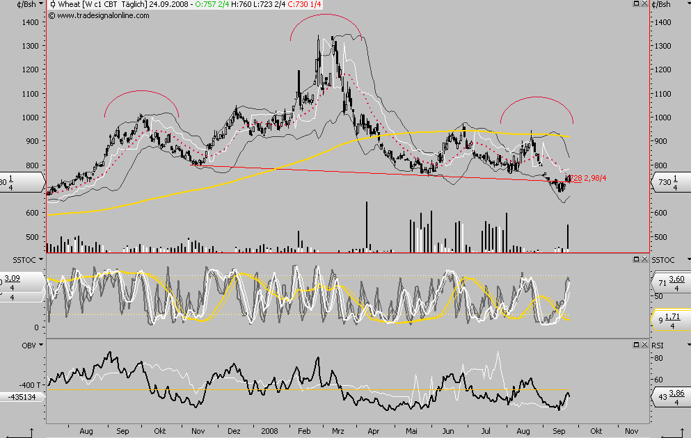 Die Bullen scharren gar nicht mit den Hufen, 188541