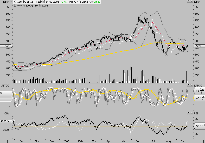 Die Bullen scharren gar nicht mit den Hufen, 188563
