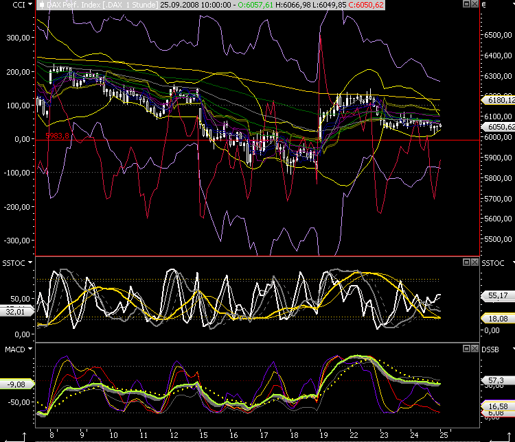 Die Bullen scharren gar nicht mit den Hufen, 188601