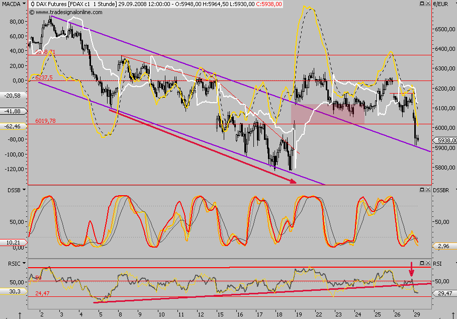 Die Bullen scharren gar nicht mit den Hufen, 189264