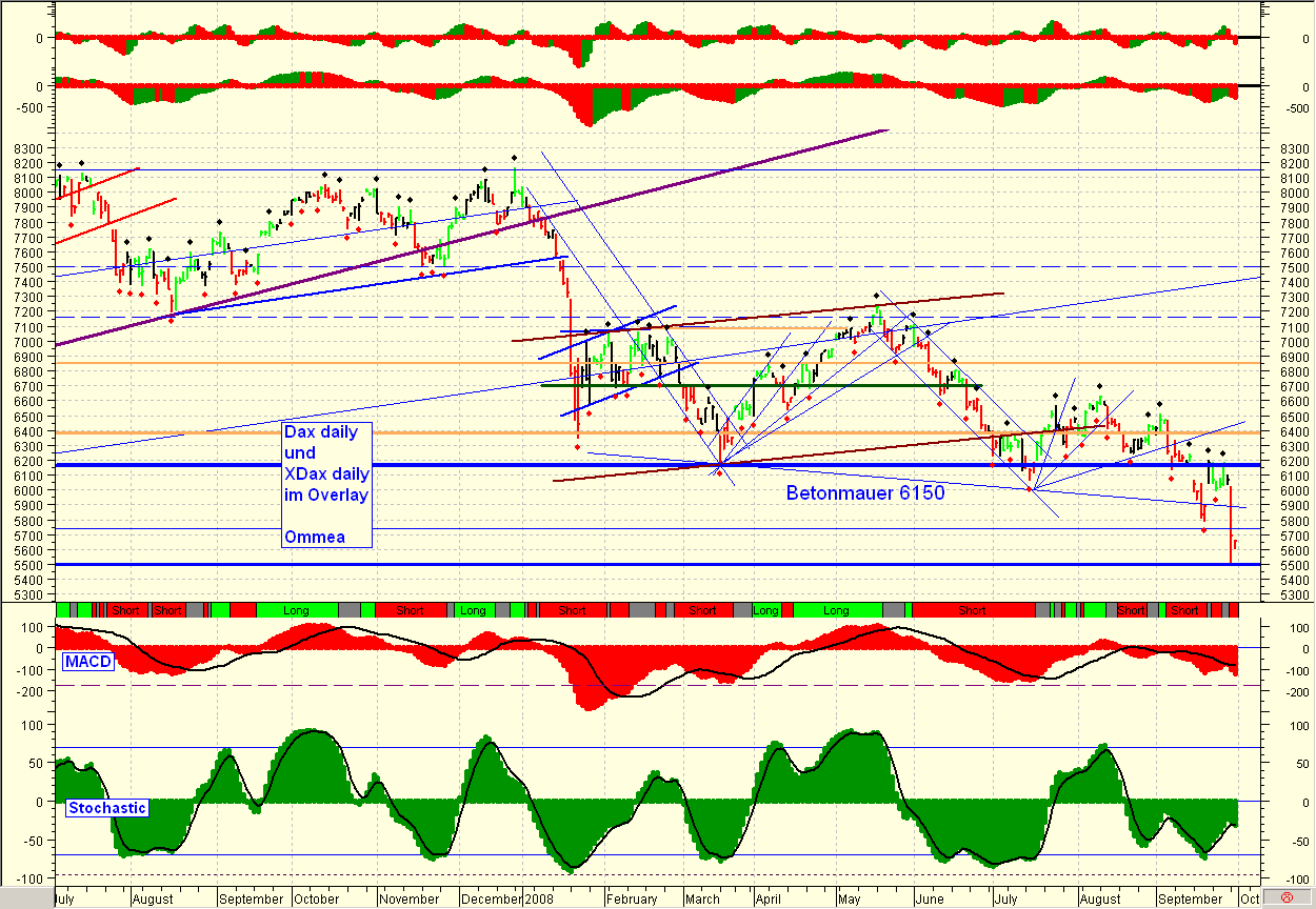 Die Bullen scharren gar nicht mit den Hufen, 189587
