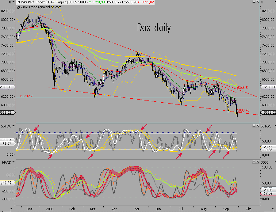 Die Bullen scharren gar nicht mit den Hufen, 189633