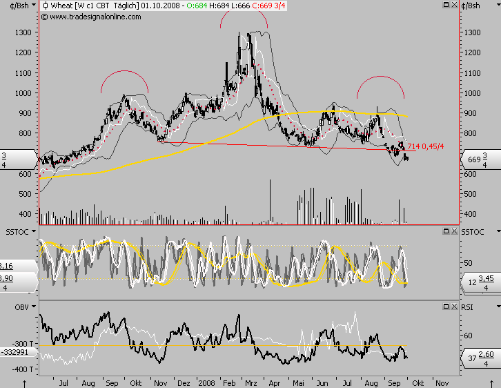 Die Bullen scharren gar nicht mit den Hufen, 189888