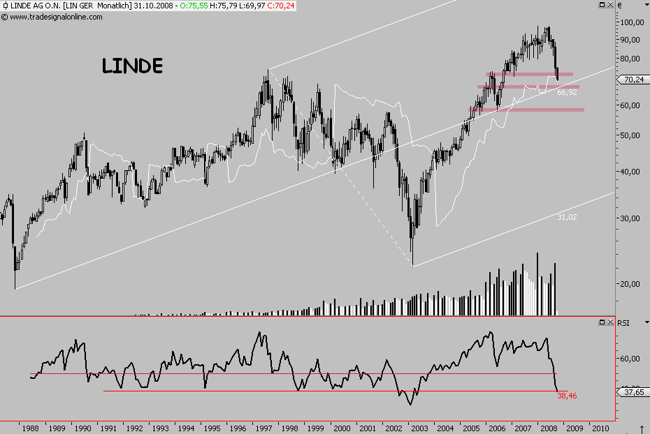 Die Bullen scharren gar nicht mit den Hufen, 190021