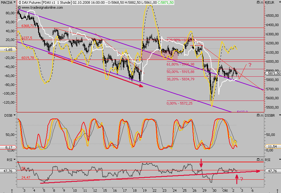Die Bullen scharren gar nicht mit den Hufen, 190028
