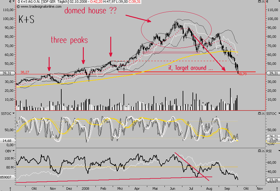 Die Bullen scharren gar nicht mit den Hufen, 190086