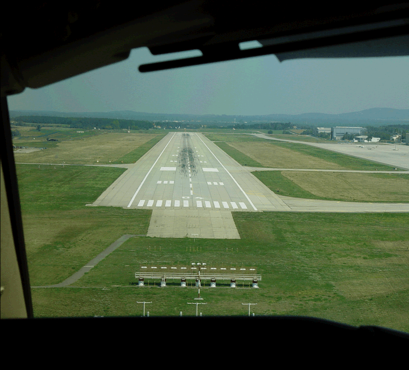 Die Bullen scharren gar nicht mit den Hufen, 190126