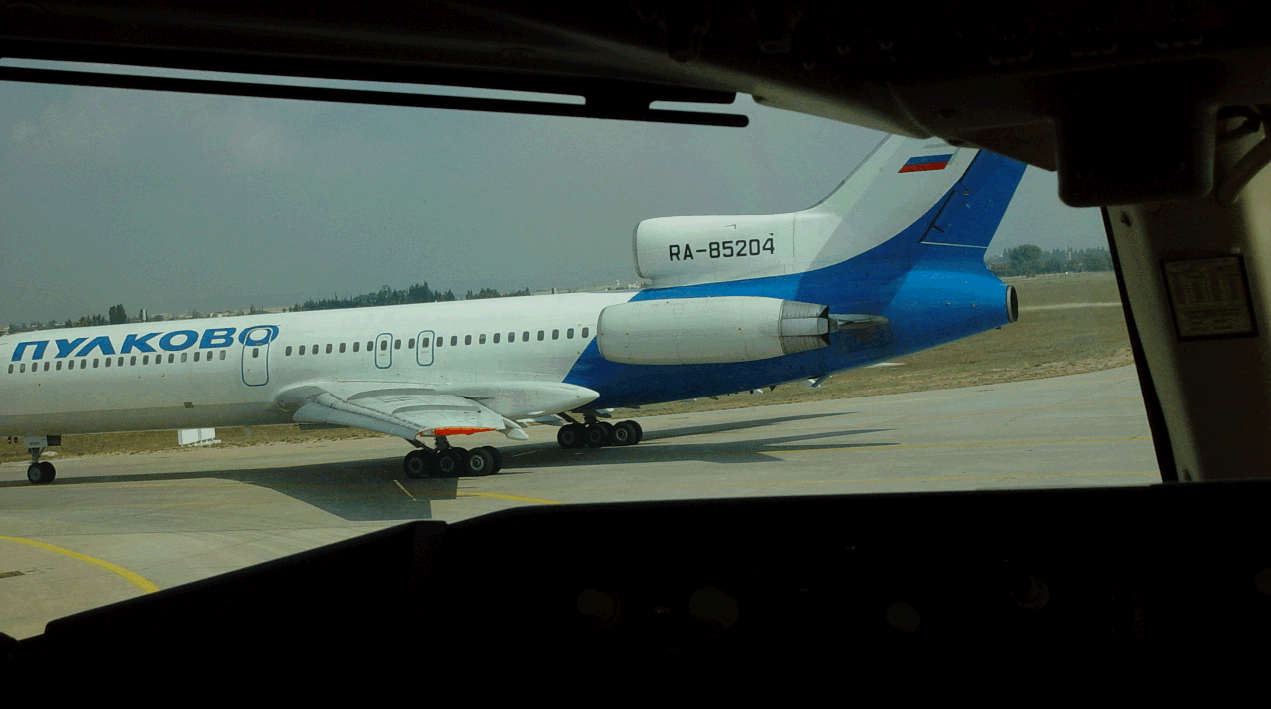 Die Bullen scharren gar nicht mit den Hufen, 190127