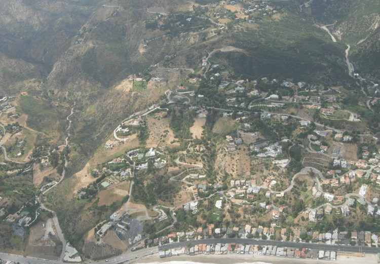 Die Bullen scharren gar nicht mit den Hufen, 190132