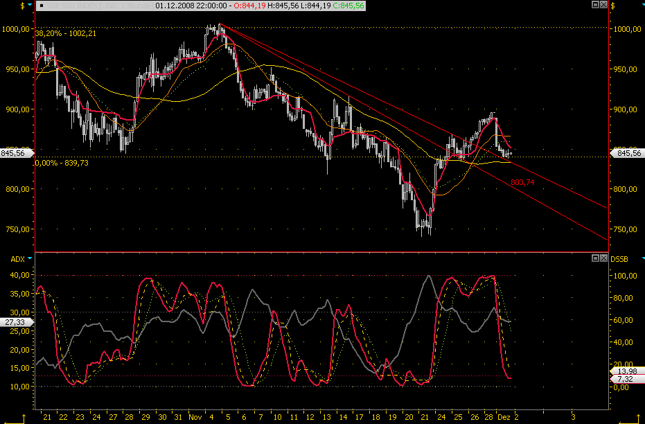 Die Bullen scharren gar nicht mit den Hufen, 202947