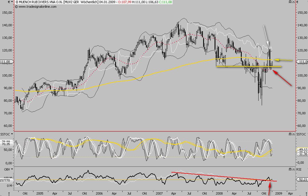 Die Bullen scharren gar nicht mit den Hufen, 207847