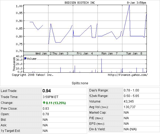 BODISEN News/Analysen/Meinungen 140560