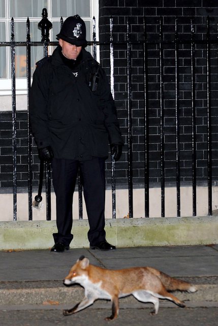 Der Öl 1000$ Thread 206324