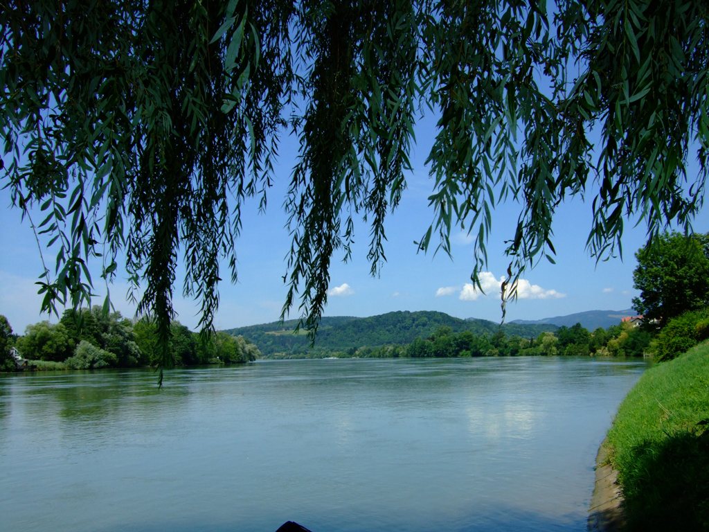 846.DAX-Tipp-Spiel* Freitag*08.08.08-17.45 Uhr 178843