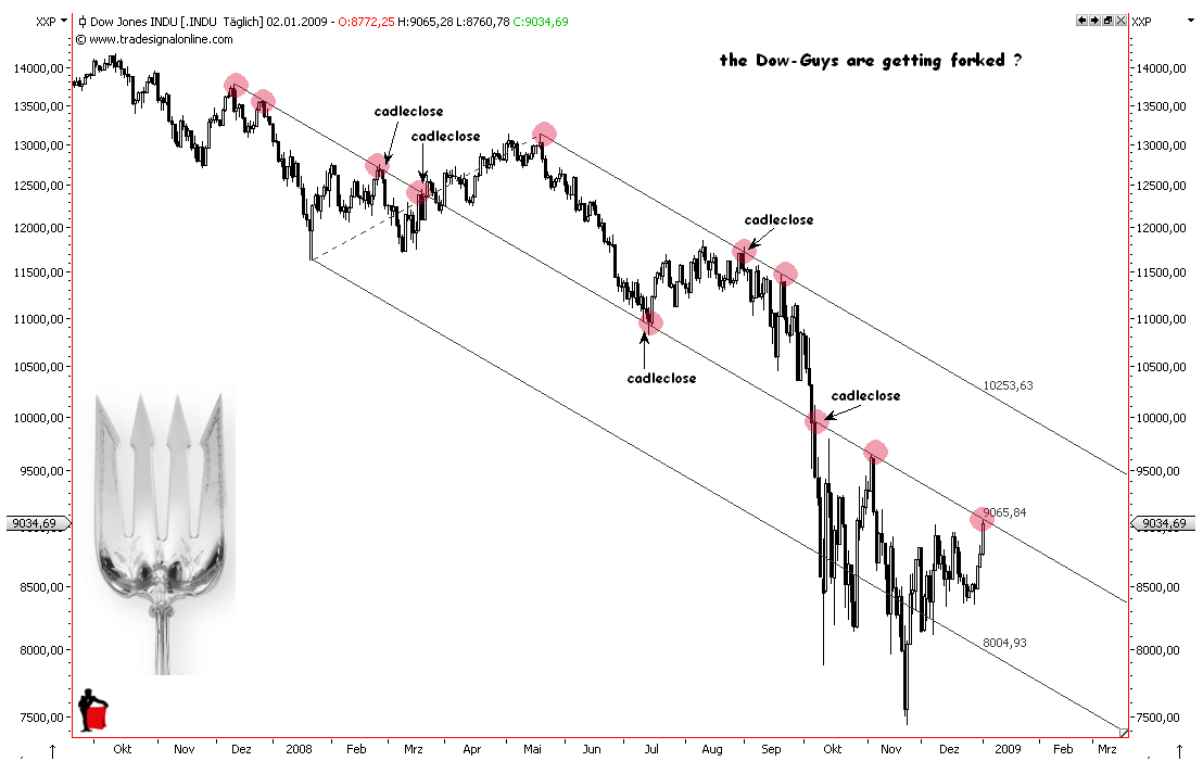 Die Bullen scharren gar nicht mit den Hufen, 208461