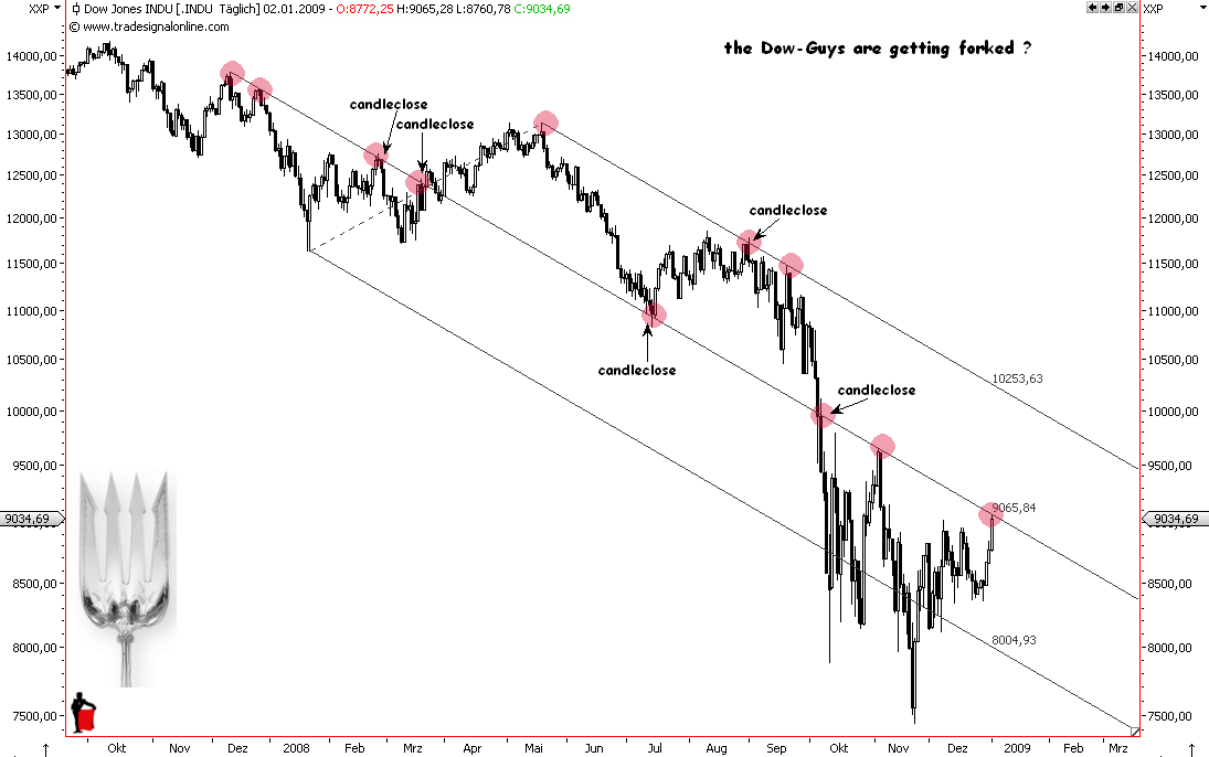 Die Bullen scharren gar nicht mit den Hufen, 208463