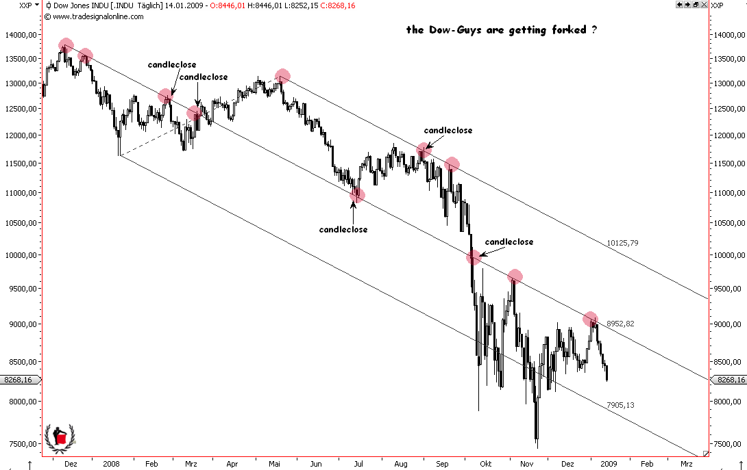 Die Bullen scharren gar nicht mit den Hufen, 210391