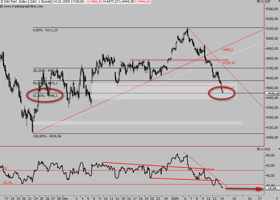 Die Bullen scharren gar nicht mit den Hufen, 210394