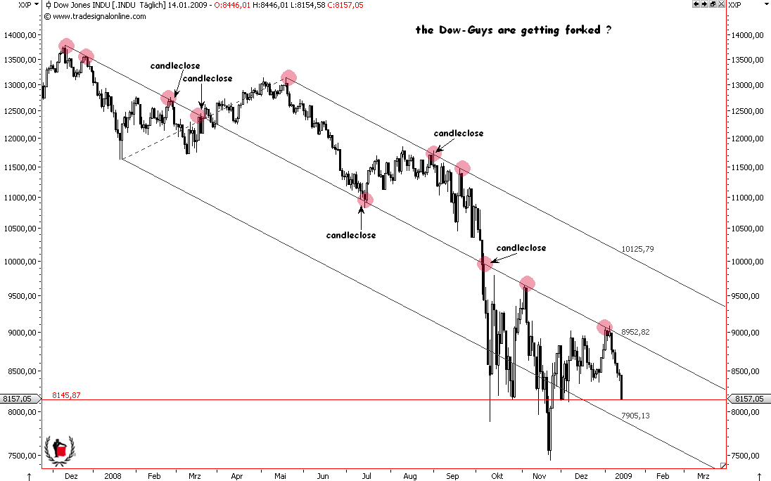 Die Bullen scharren gar nicht mit den Hufen, 210463