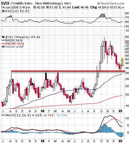 Die Bullen scharren gar nicht mit den Hufen, 210467