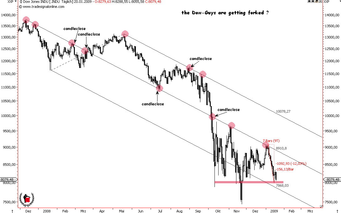 Die Bullen scharren gar nicht mit den Hufen, 211640