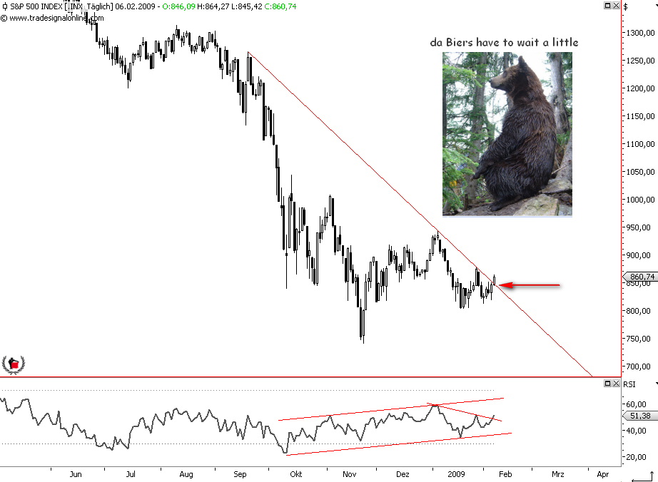 Die Bullen scharren gar nicht mit den Hufen, 215141