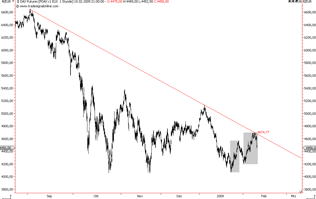 Die Bullen scharren gar nicht mit den Hufen, 215760