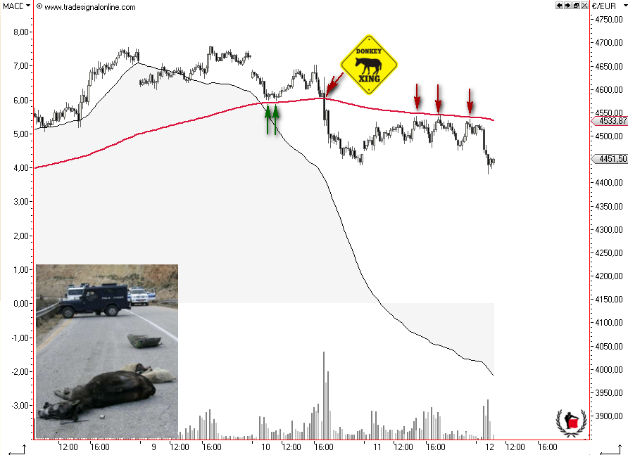 Die Bullen scharren gar nicht mit den Hufen, 216083