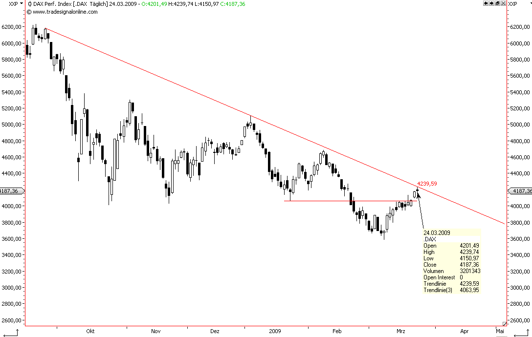 Die Bullen scharren gar nicht mit den Hufen, 223914