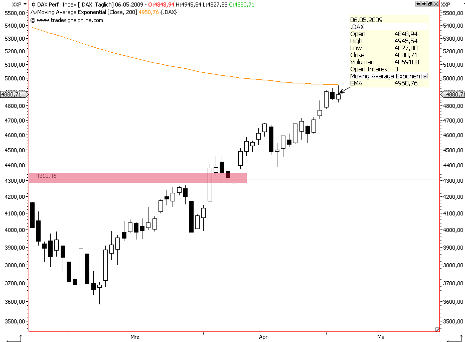 Die Bullen scharren gar nicht mit den Hufen, 231438