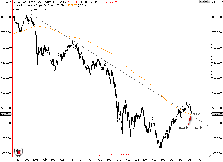 Die Bullen scharren gar nicht mit den Hufen, 239308