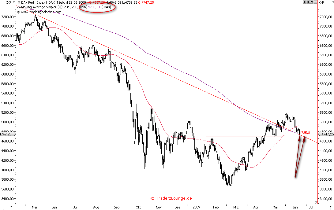 Die Bullen scharren gar nicht mit den Hufen, 240294