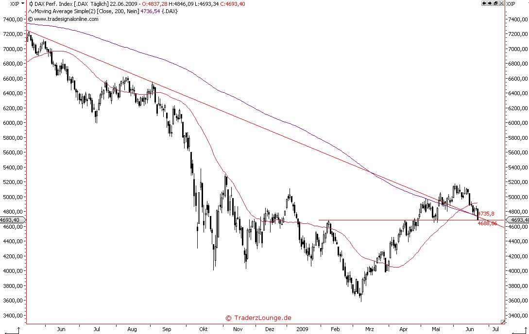 Die Bullen scharren gar nicht mit den Hufen, 240416