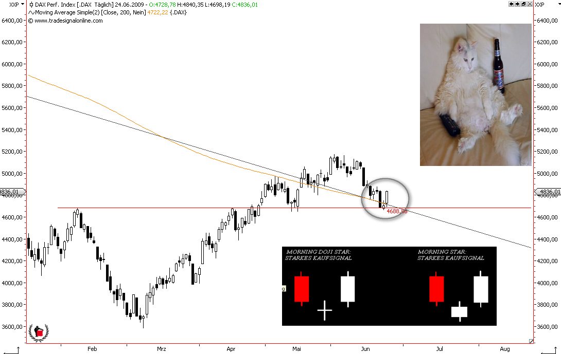 Die Bullen scharren gar nicht mit den Hufen, 240896