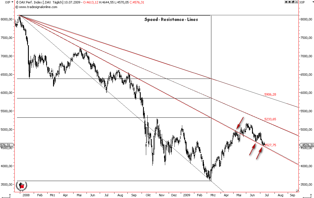 Die Bullen scharren gar nicht mit den Hufen, 244580