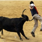 Die Bullen scharren gar nicht mit den Hufen, 342110