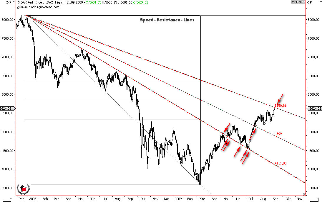 Die Bullen scharren gar nicht mit den Hufen, 259027