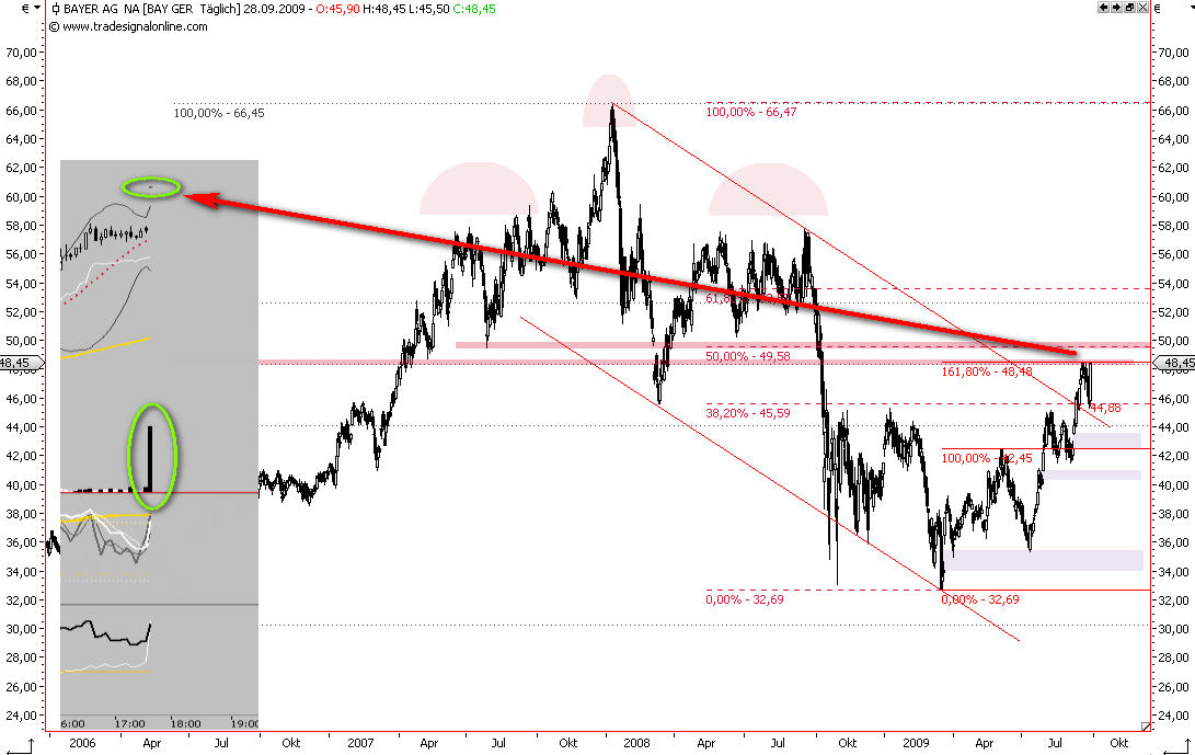 Die Bullen scharren gar nicht mit den Hufen, 262907