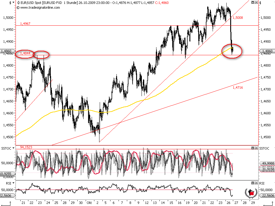Die Bullen scharren gar nicht mit den Hufen, 270131