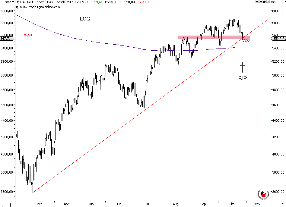 Die Bullen scharren gar nicht mit den Hufen, 270550