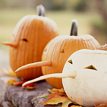 Die Bullen scharren gar nicht mit den Hufen, 272285