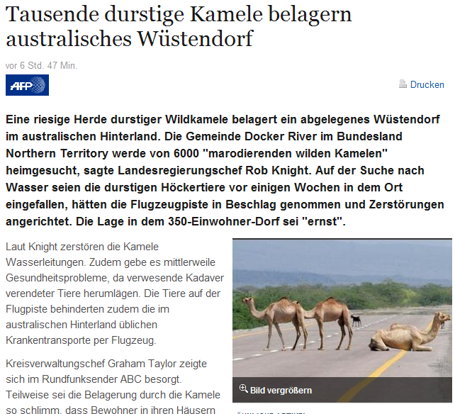 Die Bullen scharren gar nicht mit den Hufen, 278201