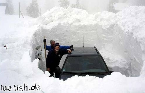 Die Bullen scharren gar nicht mit den Hufen, 288498