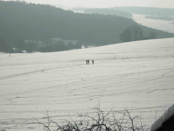 Quo Vadis Dax 2010 - Das Original 299976