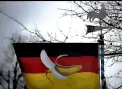 Die Bullen scharren gar nicht mit den Hufen, 447797