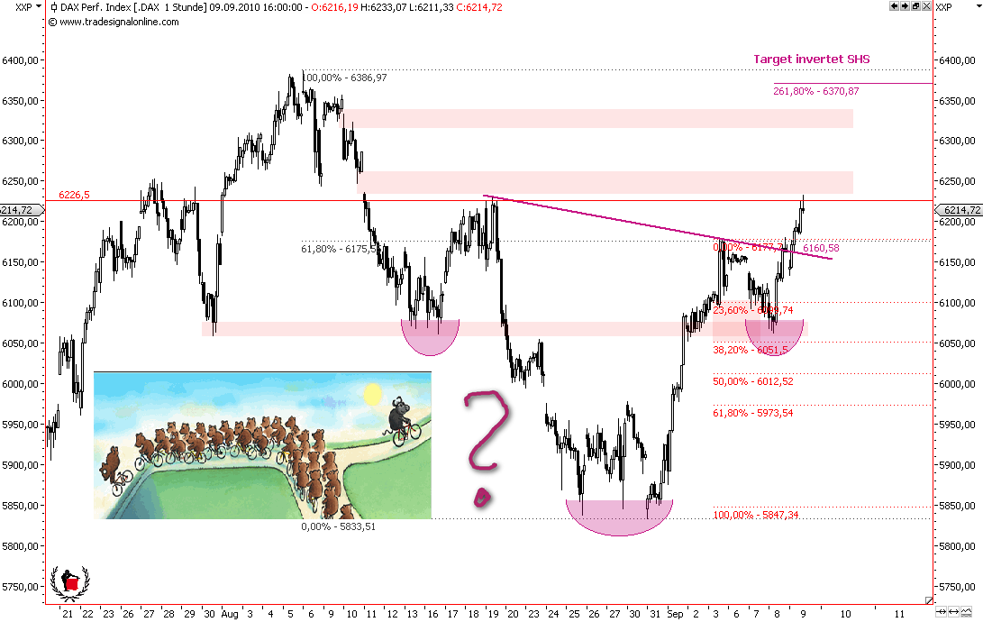 Die Bullen scharren gar nicht mit den Hufen, 344004