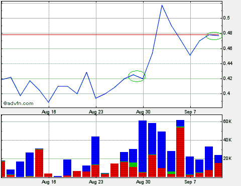 Miranda Gold steigt! 344378