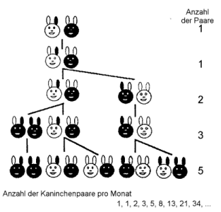 Die Bullen scharren gar nicht mit den Hufen, 369512