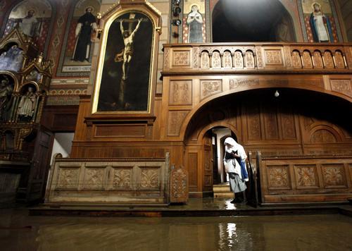 Der USA Bären-Thread 337133