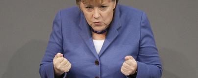 Der USA Bären-Thread 361608